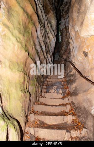 Sentiero Mullerthal in Lussemburgo, canyon Perekop, trekking attraverso una foresta con formazioni rocciose di arenaria Foto Stock