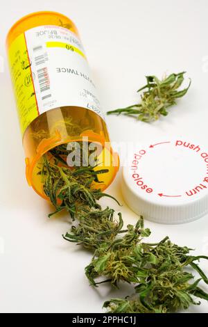 Prescrizione di cannabis (Marijuana Medica) - Fiore secco che si deforma dalla bottiglia Foto Stock