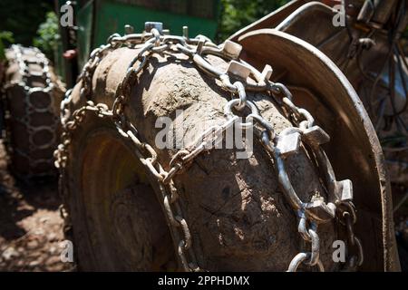 Catene di trazione sulla ruota grande di un camion per tronchi forestali Foto Stock