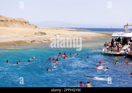 Gruppo di persone con giubbotti salvagente che fanno snorkeling nel Mar Rosso sopra una barriera corallina, Dahab, Egitto Foto Stock