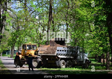 Il team di miglioramento della città rimuove le foglie cadute nel parco con un escavatore e un camion. Regolare lavoro stagionale per migliorare i luoghi pubblici per la ricreazione Foto Stock