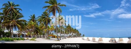 Playa Spratt Bight: Viaggio sulla spiaggia con vista sulle palme, vacanze sul mare sull'isola di San Andres in Colombia Foto Stock