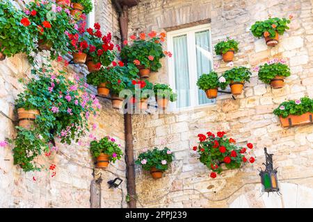 Assisi villaggio in Umbria, Italia. La città è famosa per la più importante Basilica italiana dedicata a San Francesco - San Francesco. Foto Stock