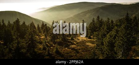 Montagna paesaggio atmosferico di alte montagne in fitta nebbia in tempo piovoso, panorama di cime di montagna in fitte nuvole Foto Stock