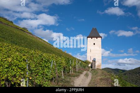 Bacharach, valle del Reno, Renania-Palatinato, Germania Foto Stock