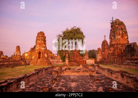 THAILANDIA AYUTTHAYA WAT MAHATHAT Foto Stock