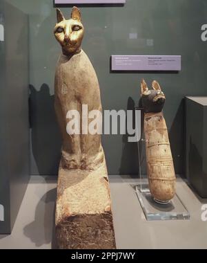 Mummia di gatto e cane al Museo Egizio di Torino Foto Stock