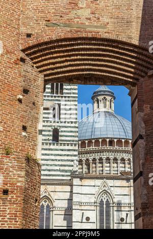 Viista del Duomo e Campanile della Cattedrale di Siena. Italia. Foto Stock