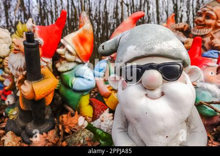 gnomi da giardino colorati con occhiali da sole neri in un luogo nella foresta Foto Stock