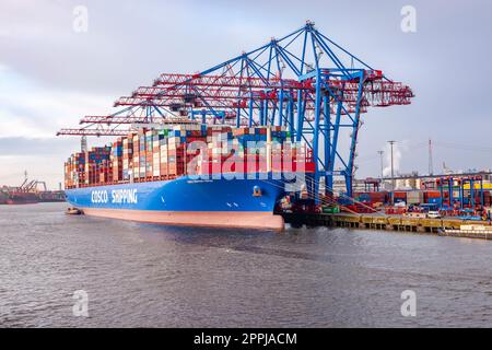 Container Terminal Tollerort, DCP Dettmer Container Packing GmbH & Co. Container dock, Amburgo, Germania. Foto Stock