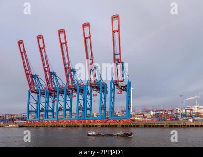 Container Terminal Tollerort, DCP Dettmer Container Packing GmbH & Co. Container dock, Amburgo, Germania. Foto Stock