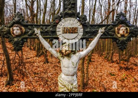 attraversa gesù in un luogo nel dettaglio della foresta Foto Stock