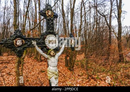 attraversa gesù in un luogo nella foresta durante l'escursione Foto Stock