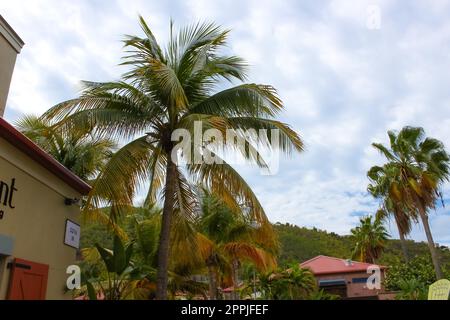 Centro Charlotte Amalie e quartiere dello shopping al porto Foto Stock