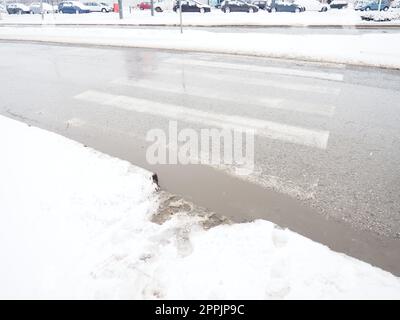 Neve, ghiaccio, fango e fango invernale in un attraversamento pedonale. La temperatura dell'aria è di circa 0. Condizioni di guida difficili. Distanza di frenata della vettura. Leggi sulla circolazione. Infrastrutture e servizi stradali Foto Stock