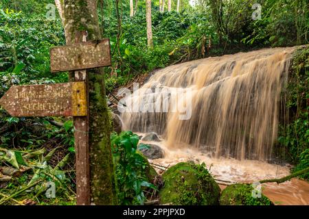 cascata con acqua piovana nella foresta pluviale Foto Stock
