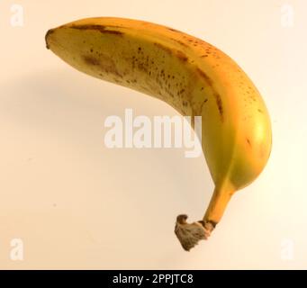 L'alimento è tutta la sostanza consumata da un organismo per il supporto nutrizionale. Il cibo è di solito di origine vegetale, animale o fungina, e contiene noce essenziale Foto Stock