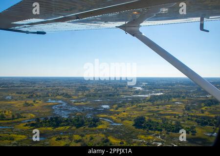 Vista aerea del parco nazionale Moremi in Botswana, Africa, vista da un piccolo aereo. Ala visibile, luce solare brillante su cielo blu. Foto Stock