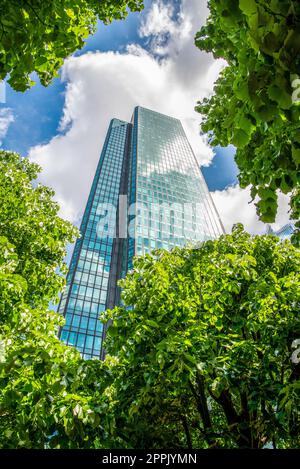 Installazione moderna di un percorso tra gli alberi tra grattacieli nel quartiere finanziario la Defense di Parigi Foto Stock