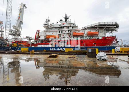 Pola, Croazia. 24th Apr, 2023. Nel cantiere di Uljanik, INA ha presentato la nave GSP Falcon, che sarà utilizzata per riabilitare e chiudere definitivamente il pozzo Ivan D-1, a Pola, in Croazia, il 24 aprile 2023. Il GSP Falcon è un'imponente imbarcazione polivalente di norma norvegese che combina la capacità di sollevare carichi pesanti e l'intervento dei subacquei. È stato costruito nel 1989, è lungo 111,4 metri, pesa 9158 tonnellate lorde e ha una capacità di 139 persone. Foto: Srecko Niketic/PIXSELL Credit: Pixsell/Alamy Live News Foto Stock