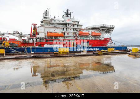 Pola, Croazia. 24th Apr, 2023. Nel cantiere di Uljanik, INA ha presentato la nave GSP Falcon, che sarà utilizzata per riabilitare e chiudere definitivamente il pozzo Ivan D-1, a Pola, in Croazia, il 24 aprile 2023. Il GSP Falcon è un'imponente imbarcazione polivalente di norma norvegese che combina la capacità di sollevare carichi pesanti e l'intervento dei subacquei. È stato costruito nel 1989, è lungo 111,4 metri, pesa 9158 tonnellate lorde e ha una capacità di 139 persone. Foto: Srecko Niketic/PIXSELL Credit: Pixsell/Alamy Live News Foto Stock