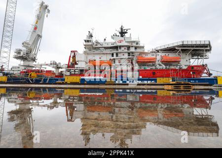 Pola, Croazia. 24th Apr, 2023. Nel cantiere di Uljanik, INA ha presentato la nave GSP Falcon, che sarà utilizzata per riabilitare e chiudere definitivamente il pozzo Ivan D-1, a Pola, in Croazia, il 24 aprile 2023. Il GSP Falcon è un'imponente imbarcazione polivalente di norma norvegese che combina la capacità di sollevare carichi pesanti e l'intervento dei subacquei. È stato costruito nel 1989, è lungo 111,4 metri, pesa 9158 tonnellate lorde e ha una capacità di 139 persone. Foto: Srecko Niketic/PIXSELL Credit: Pixsell/Alamy Live News Foto Stock