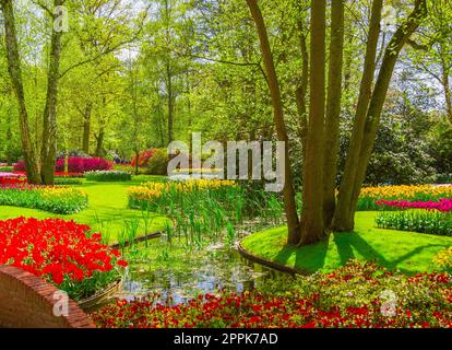 Tulipani colorati nel parco Keukenhof, Olanda Foto Stock