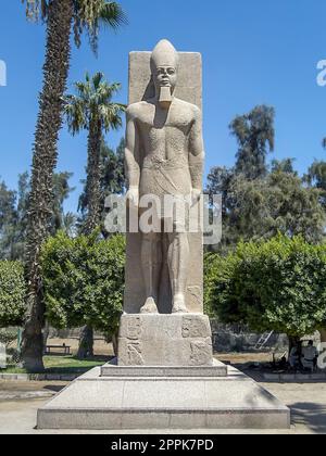 Statua di Ramses II sullo sfondo di palme verdi nel museo all'aperto di Memphis, Egitto Foto Stock