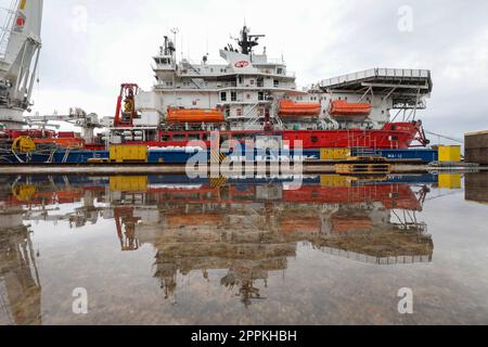 Pola, Croazia. 24th Apr, 2023. Nel cantiere di Uljanik, INA ha presentato la nave GSP Falcon, che sarà utilizzata per riabilitare e chiudere definitivamente il pozzo Ivan D-1, a Pola, in Croazia, il 24 aprile 2023. Il GSP Falcon è un'imponente imbarcazione polivalente di norma norvegese che combina la capacità di sollevare carichi pesanti e l'intervento dei subacquei. È stato costruito nel 1989, è lungo 111,4 metri, pesa 9158 tonnellate lorde e ha una capacità di 139 persone. Foto: Srecko Niketic/PIXSELL Credit: Pixsell/Alamy Live News Foto Stock