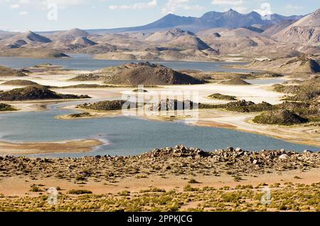 Lauca parco nazionale e Riserva della Biosfera dall'UNESCO, Arica e Parinacota Regione, Cile Foto Stock