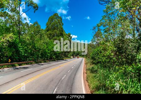 Strada asfaltata in natura brasiliana in Sud America Foto Stock