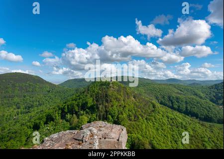 Vista dal castello di Trifels sulla foresta di Palatinato con le rovine di Anebos e Scharfenberg, Annweiler, Palatinato, Renania-Palatinato, Germania, E Foto Stock