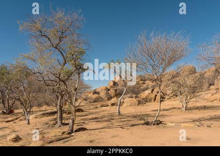 Il paesaggio dei Monti Erongo in Namibia Foto Stock