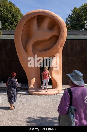 Padiglione brasiliano, a Giardini alla 59a Biennale d'Arte di Venezia. Foto Stock