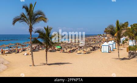 Palme sulla spiaggia di Playa del Duque Foto Stock