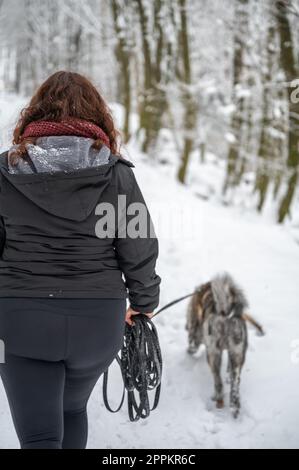 Giovane donna con capelli ricci marroni cammina il suo cane akita inu con pelliccia grigia nella foresta durante l'inverno con un sacco di neve, vista posteriore Foto Stock