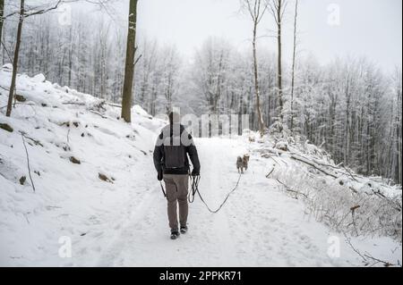 Un giovane con capelli castani corti, abiti caldi e zaino cammina nella foresta il suo cane akita inu grigio durante l'inverno con molta neve, vista posteriore Foto Stock