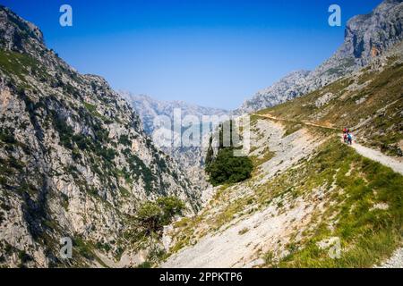 Cares Trail - ruta del Cares - a Picos de Europa, Asturie, Spagna Foto Stock