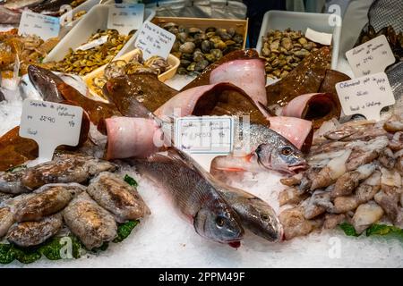 Pesce fresco, vongole e frutti di mare in vendita in un mercato a Barcellona, Spagna Foto Stock