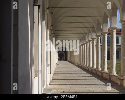 La Certosa ex monastero e portale d'ingresso all'asilo folle a Collegno Foto Stock