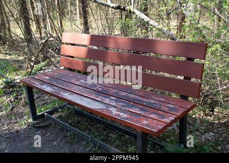 foto di una vecchia panca vuota in piedi nel bosco Foto Stock