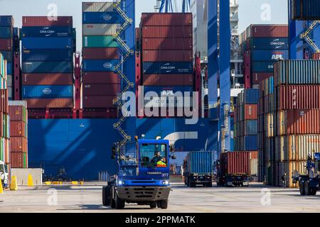 Atene, Grecia. 16th Feb, 2023. Un autista lavora al terminal container III nel porto del Pireo, in Grecia, 16 febbraio 2023. Oltre 13 anni di collaborazione vincente tra COSCO Shipping e il più grande porto greco del Pireo si sono dimostrati un caso esemplare di sviluppo comune, hanno affermato dirigenti e dipendenti di questo importante progetto di investimento. PER ANDARE CON 'World Insights: La cooperazione sino-greca al porto del Pireo mostra lo sviluppo comune' Credit: Marios Lolos/Xinhua/Alamy Live News Foto Stock