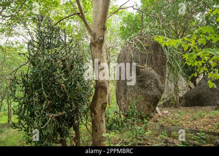 THAILANDIA PRACHUAP KHIRI KHAN STONE PARK Foto Stock