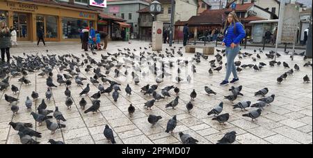 Sarajevo, Bosnia ed Erzegovina, 8 marzo 2020, la gente cammina per le strade centrali di Sarajevo dando da mangiare ai piccioni. Bascarsija e piazza. Monumenti islamici e siti turistici. Gli uccelli camminano sul marciapiede Foto Stock