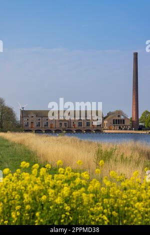 Ir D. F. Woudagemaal è la più grande stazione di pompaggio a vapore mai costruita al mondo, sito UNESCO, Lemmer, Friesland, Paesi Bassi Foto Stock