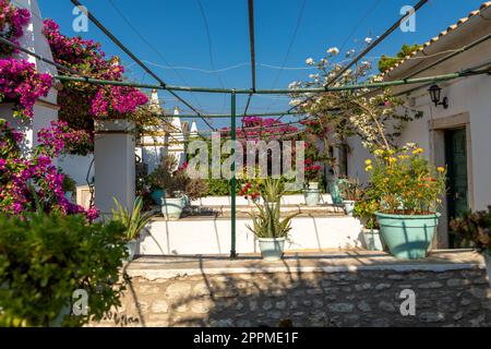 Giardino nel monastero di Paleokastritsa sull'isola di Corfù, Grecia Foto Stock