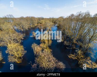 Inondazioni nella foresta primaverile. Sole primavera giorno e cielo blu. Riflesso nell'acqua blu. Vista dall'alto. Foto di alta qualità. Orizzontale Foto Stock