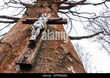 una vecchia croce di legno con gesù su un albero nella vista della foresta Foto Stock