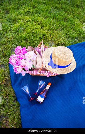 Picnic sulla natura Foto Stock