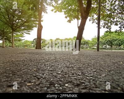 Passerelle nei parchi pubblici in Thailandia Foto Stock